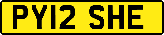 PY12SHE