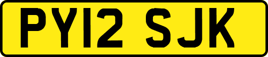 PY12SJK