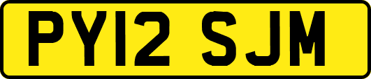 PY12SJM