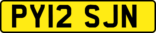 PY12SJN