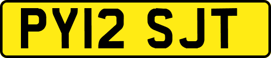 PY12SJT
