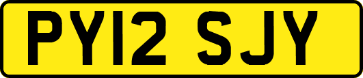 PY12SJY
