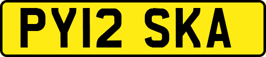 PY12SKA