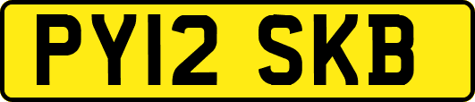 PY12SKB
