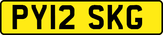 PY12SKG