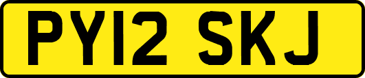 PY12SKJ