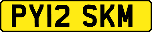 PY12SKM