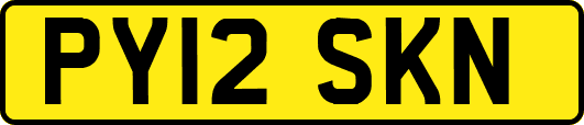 PY12SKN