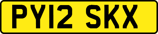 PY12SKX
