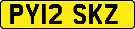 PY12SKZ