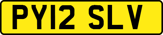 PY12SLV