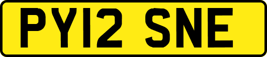 PY12SNE