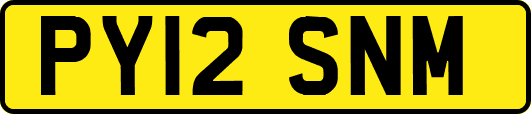PY12SNM