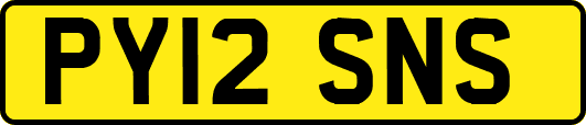 PY12SNS