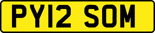 PY12SOM
