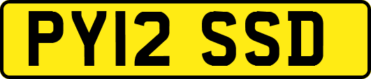 PY12SSD