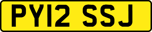 PY12SSJ