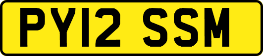 PY12SSM