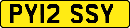 PY12SSY