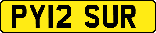 PY12SUR