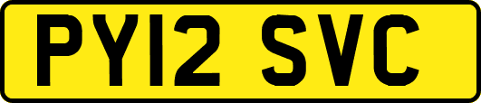 PY12SVC