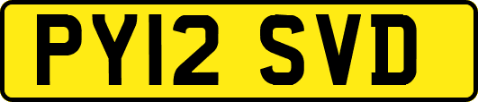 PY12SVD