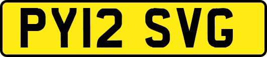 PY12SVG