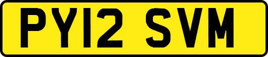 PY12SVM