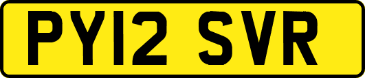 PY12SVR