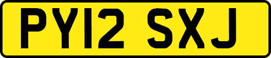 PY12SXJ