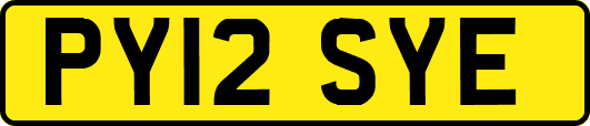 PY12SYE
