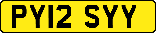 PY12SYY