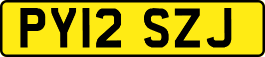PY12SZJ