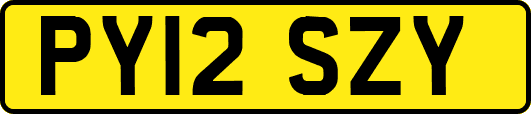 PY12SZY