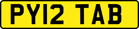 PY12TAB