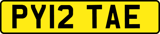 PY12TAE