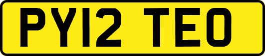 PY12TEO