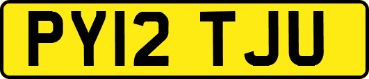 PY12TJU