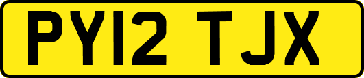 PY12TJX