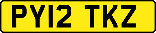PY12TKZ