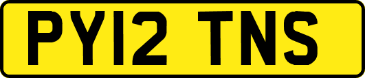 PY12TNS