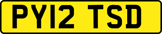 PY12TSD