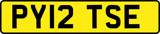 PY12TSE