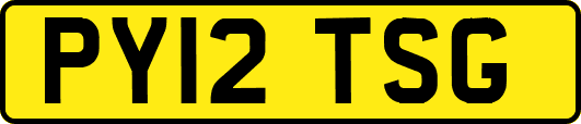 PY12TSG
