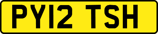 PY12TSH