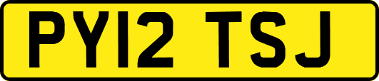PY12TSJ