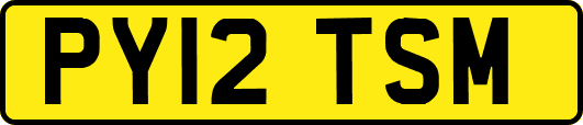 PY12TSM
