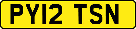 PY12TSN