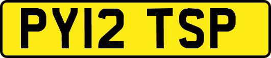 PY12TSP