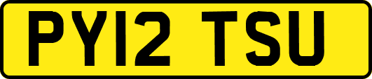 PY12TSU